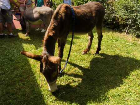 micro crèche loisin