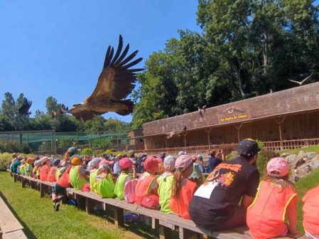 st-félix alby accueil de loisirs