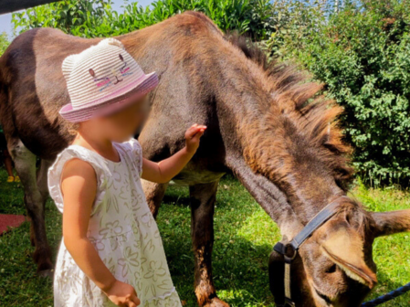 micro crèche loisin