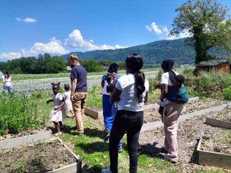 Atelier potager avec notre partenaire Terre Solidaire